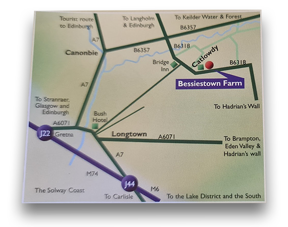 Bessiestown map